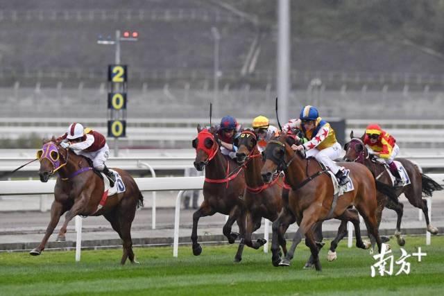 香港今晚开什么特马,香港今晚会开什么特马？探寻文化魅力与未来机遇的特马之旅