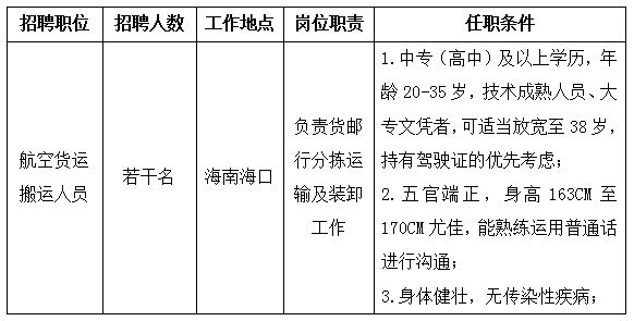 三亚最新司机招聘启事，探索职业新机遇，共赴美好未来之旅！