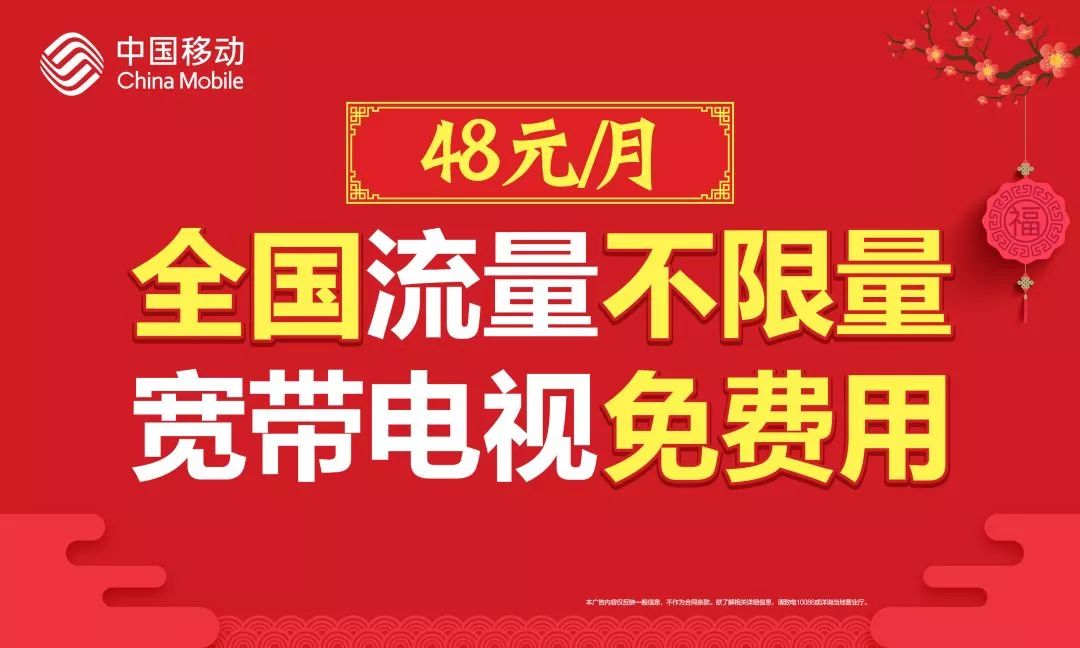 探索澳门文化魅力，2024澳门天天开好彩背后的故事与启示