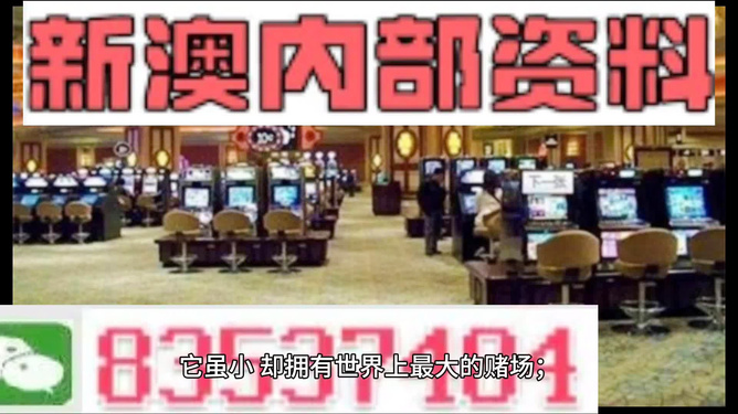 探索未来的澳门，一个充满活力和机遇的2024新澳门天