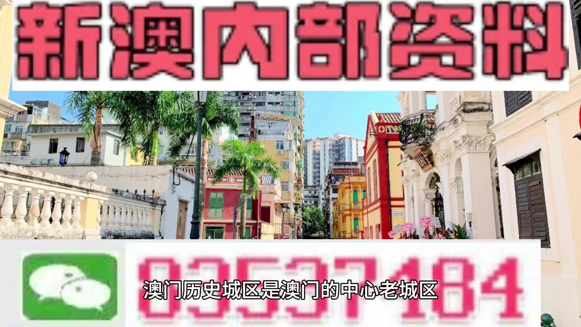 新澳门内部免费资料精准大全，探索与发现之旅