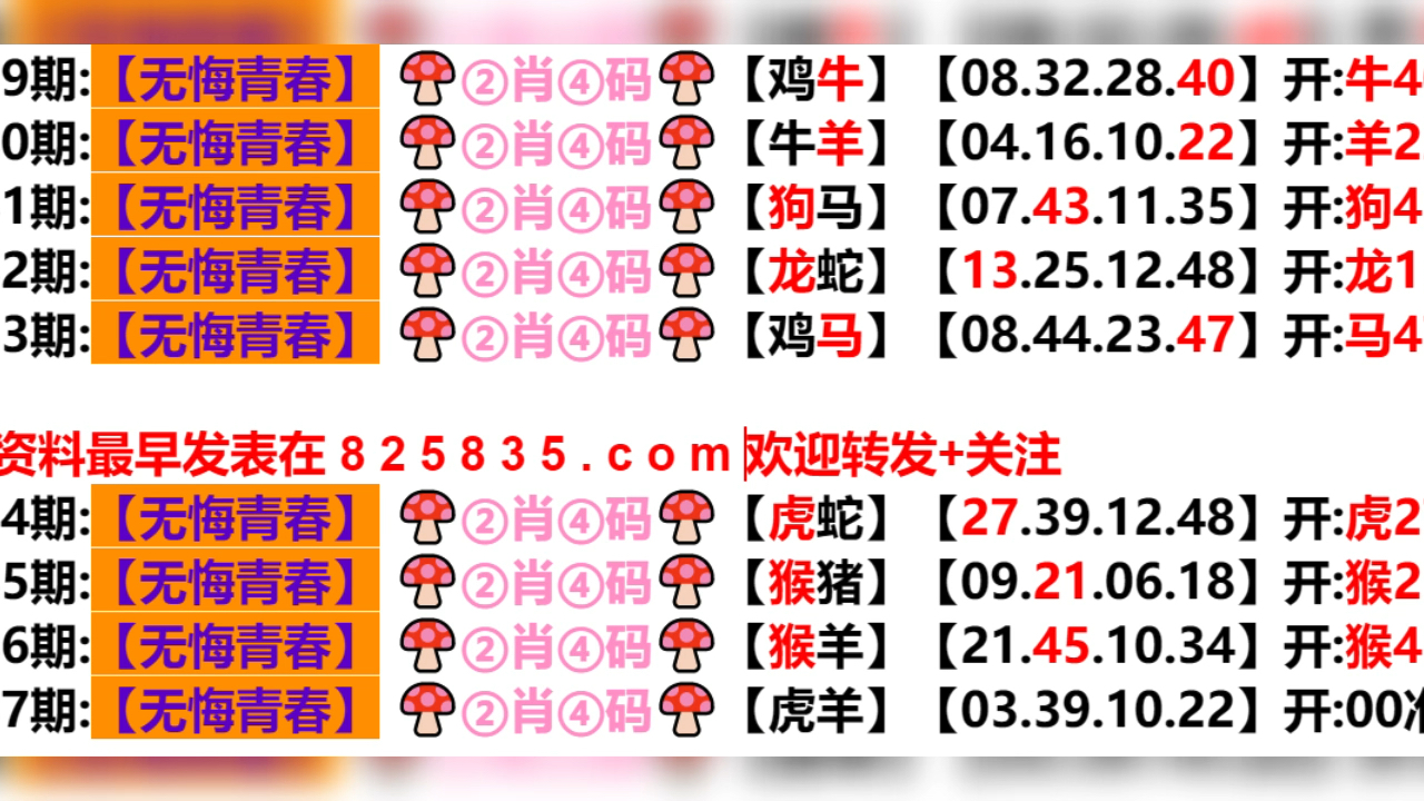 探寻新澳门文化魅力，多彩生活与人文风情之旅